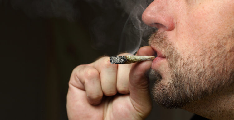 More Workers Are Testing Positive for Marijuana—and Cheating on Drug Screens