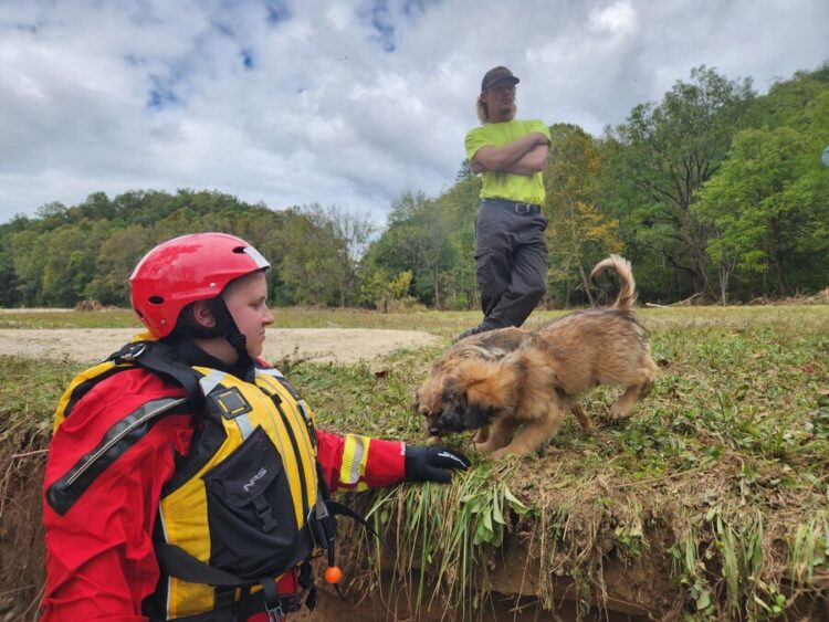 PetSmart Charities Raises Funds to Support Hurricane Disaster Relief Through In-Store Fundraiser