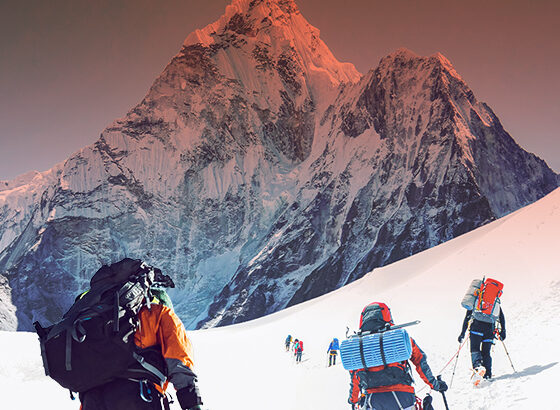 Conquer Annual Enrollment: 7 Steps to Scale Your HR Everest